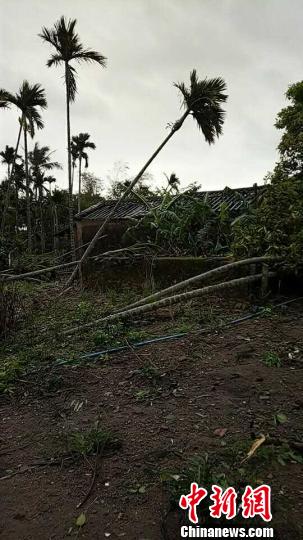 ����������������һ��ׯ������������Ϯ����ͼ��