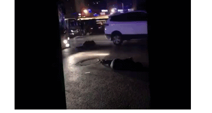 两男子被公交撞倒又遭私家车碾压 一死一重伤