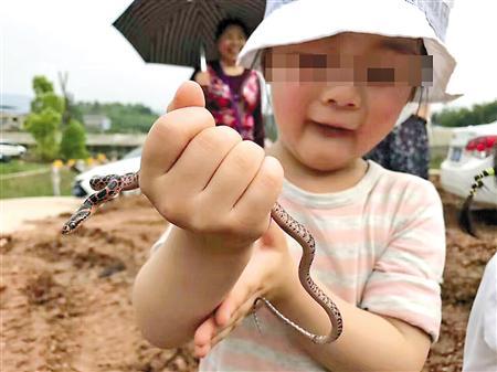 ޱޱ������