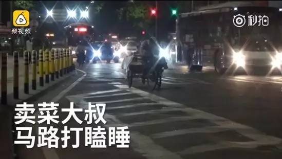 ��ͼ��������Ƶ