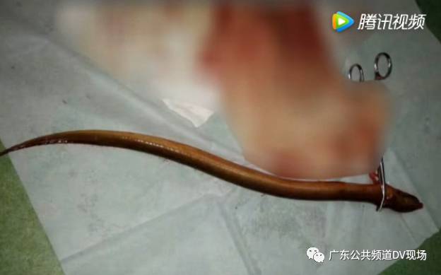 ������������ƫ�� �û���������