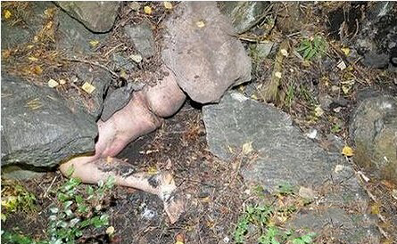 女子被前男友凌辱7小时