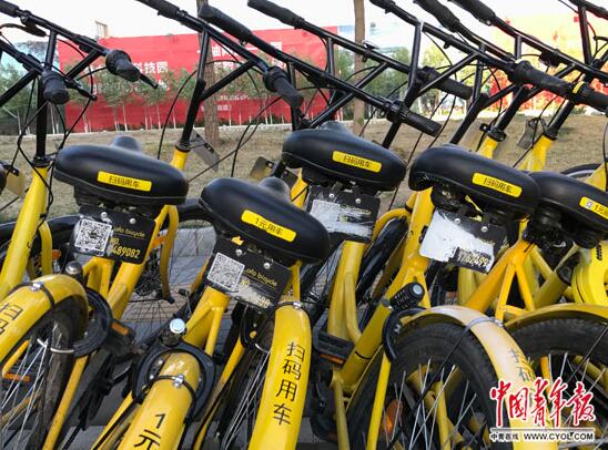 共享单车遭破坏现象日趋严重,北京一90后女生