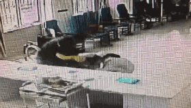 南京两名护士被一男子踹翻在地 只因多扎孩子一针