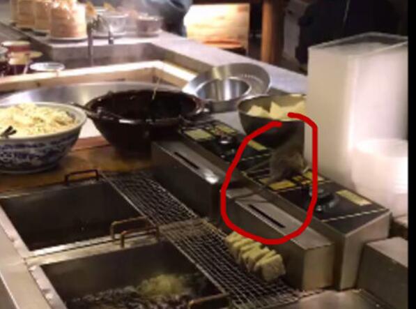 �͹��϶��Ż�����