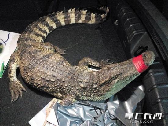 ��У����������