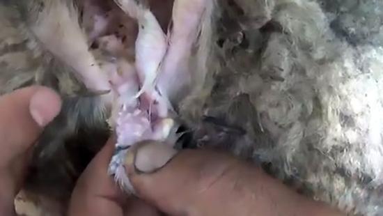 ������ɽ������ڳ��� �������ݻ�������Һ