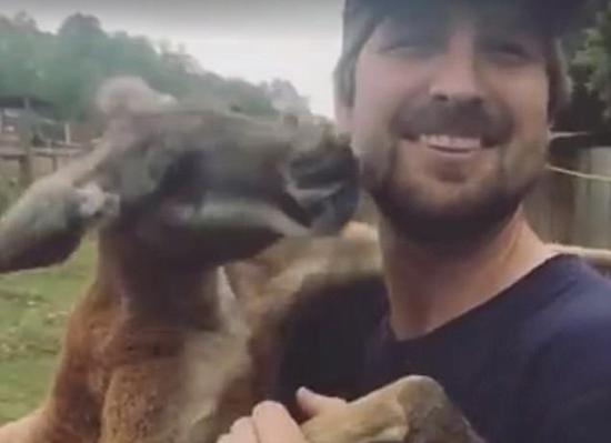 ů�ģ��Ĵ���˧��������ǰ���ױ���