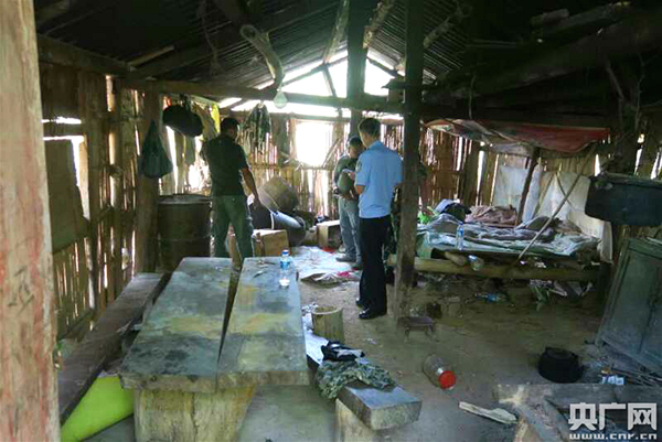 西双版纳发生野象伤人事件 被袭击农民多根肋