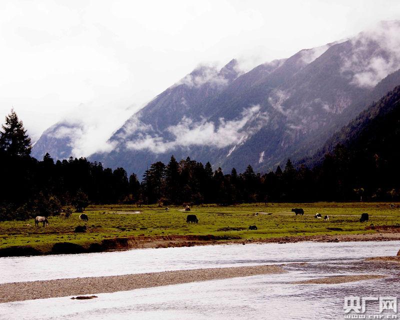 西藏巴松措全域旅游生态发展规划正式发布