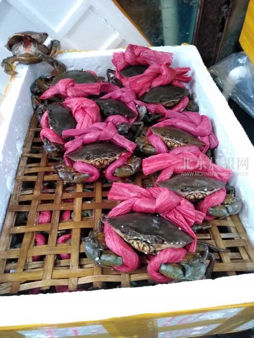 з��������ˮ�� Ϻ��æ�������� ̽��Ϻз�г�