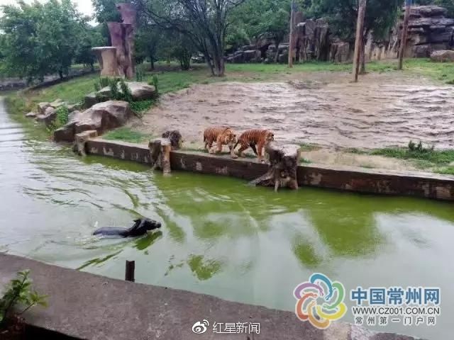 ����԰�ɶ���ӦͶ��¿ι��:����׬Ǯ������ι��