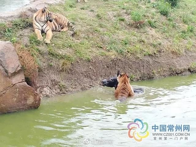 ����԰�ɶ���ӦͶ��¿ι��:����׬Ǯ������ι��