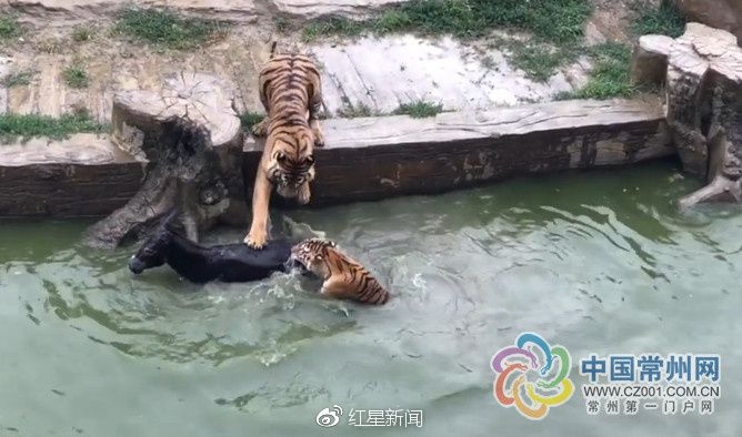 ����԰�ɶ���ӦͶ��¿ι��:����׬Ǯ������ι��