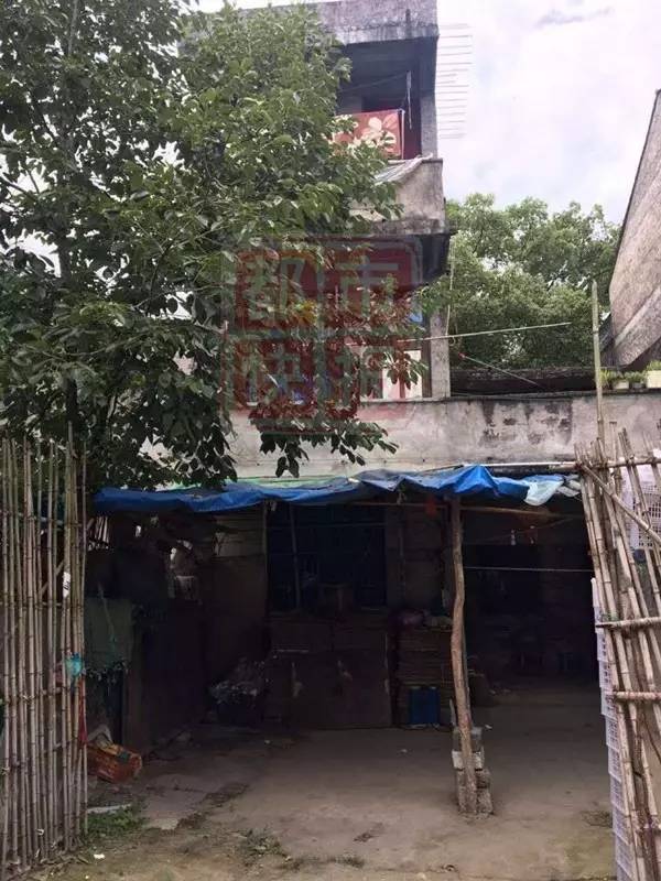 咋回事?男子当街杀害一对母子 死者家属:杀错人了