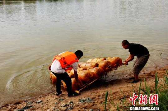 图为筏子客将羊皮筏子拖出水面。 郭红 摄