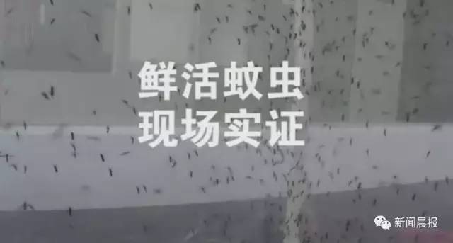 ��һ�������൱�����������̣�ʵ������������