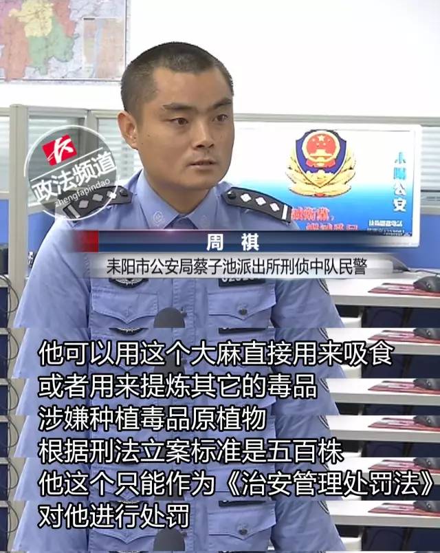 少女早恋与男友吸毒 因一台苹果手机被人利用