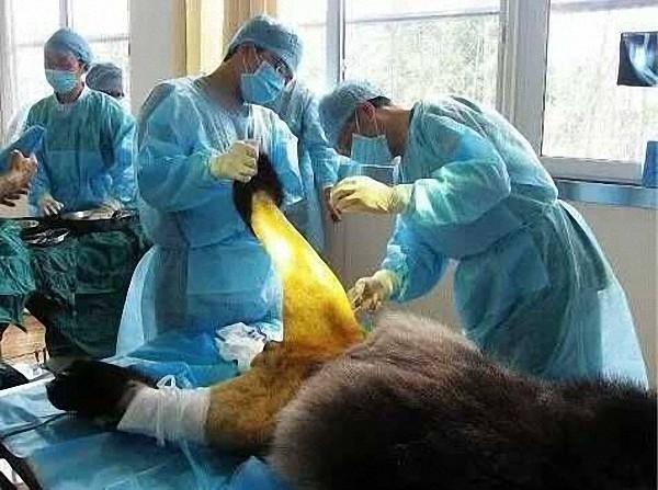 ����è�����ѿ��ӡ��ձ��죺�·�����ǰ ���Ⱥ�ܹ��۱���ë