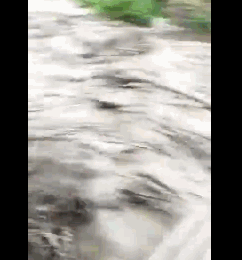 �Ĵ��Ű�������ͻ��ɽ�� 600���˰�ȫת��1��ʧ��