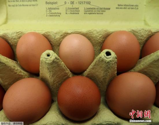台湾“毒鸡蛋”风波延烧 5县市共计15家牧场不合格