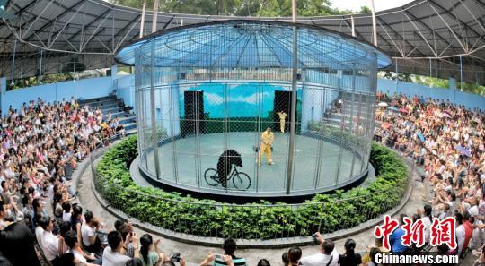 广州动物园结束马戏表演 动物训练不再为取悦游客