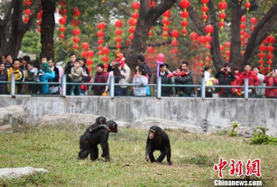 广州动物园结束马戏表演 动物训练不再为取悦游客