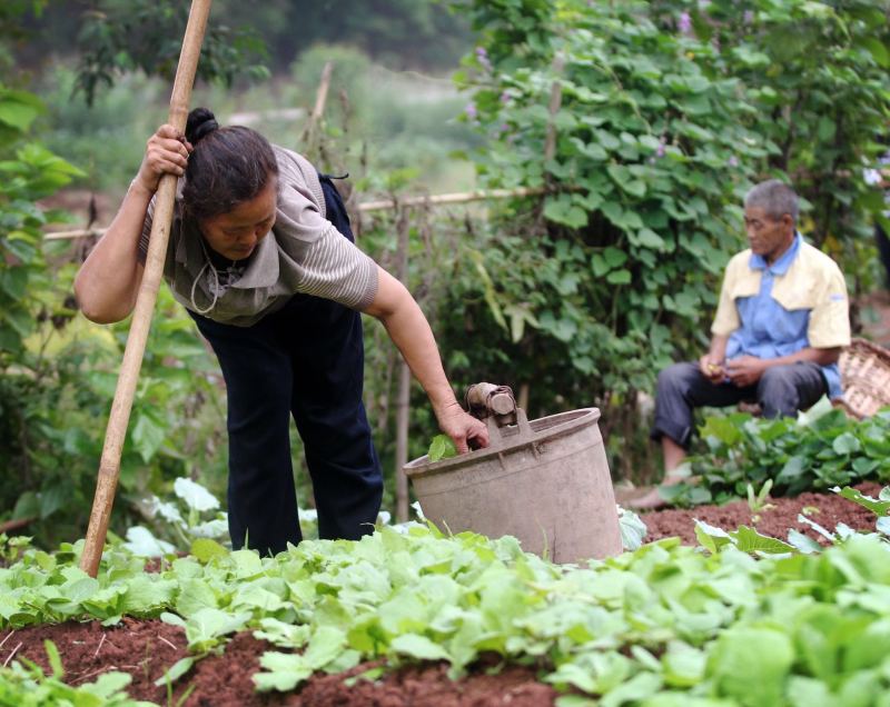 六旬老人背妻29年:一个没有视力 一个走路不好