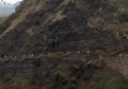 417_289gif 动态图 动图