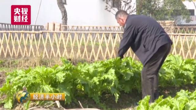 中国这个地方如同仙境 豪华别墅每平米仅1300元