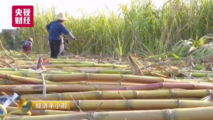 中国这个地方如同仙境 豪华别墅每平米仅1300元