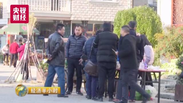 中国这个地方如同仙境 豪华别墅每平米仅1300元