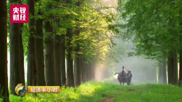 中国这个地方如同仙境 豪华别墅每平米仅1300元