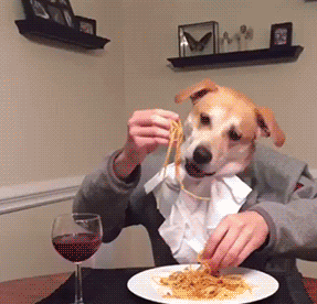 1515495999260519.gif 1.gif