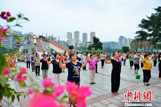 重庆老龄人口_人口老龄数据分析图