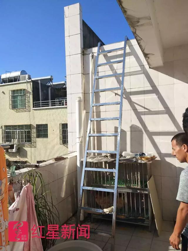 Ů����ҹ����۷���Ϣ���� �����Ӻ�׹¥����