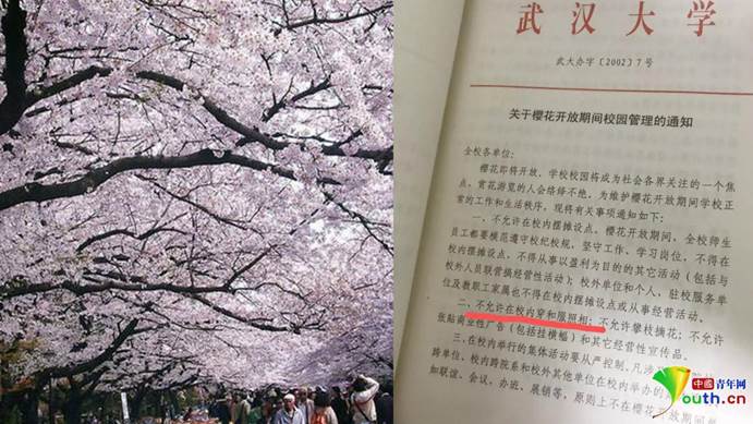 未标题-1 未标题-1