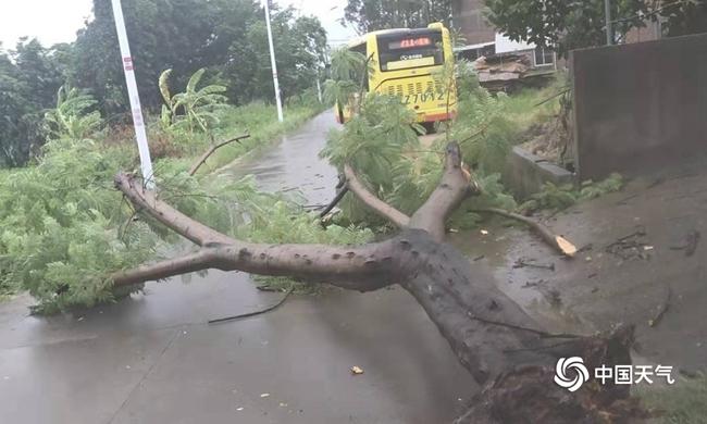 ̨�����������ǿ���� ���ϻ������Ƚ���