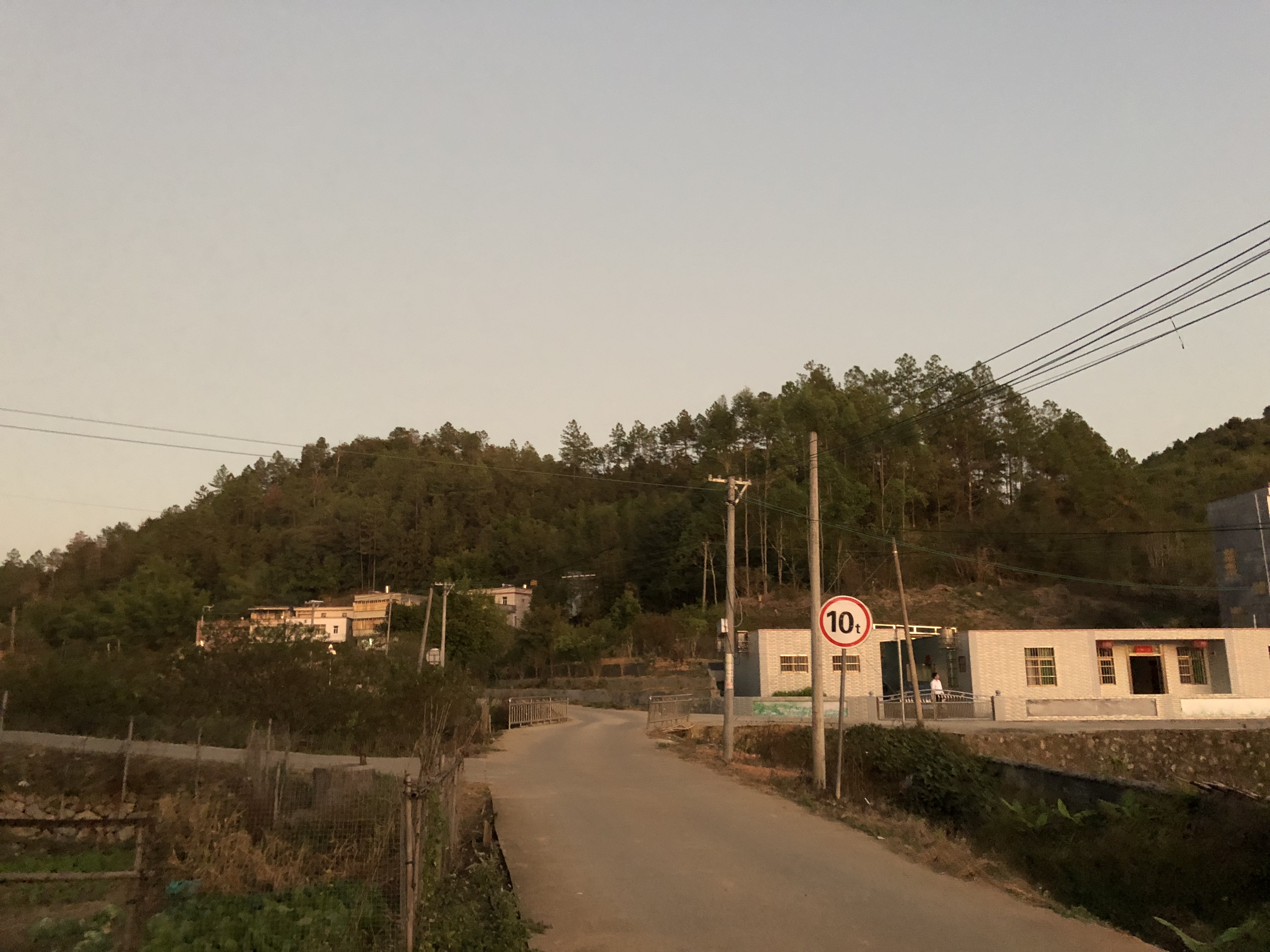 梅姨同居者:她总去外面打电话 自己不知道更多信息