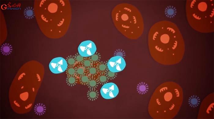 �Ƽ�ս��ϵ�ж����ܡ����ϡ���Ѫ���Ʒ��ܷ񡰳�����ʤ����