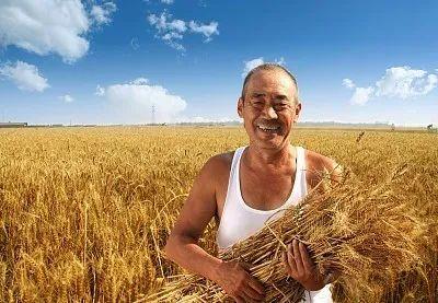 「科技日报」别信！这些持续刷屏朋友圈的新闻都是谣言