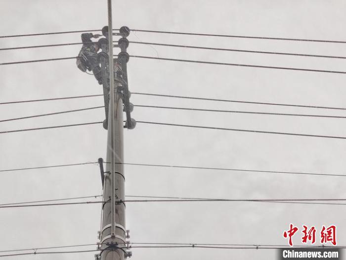 黑格|“黑格比”影响浙江电网：七千余人抢修 9成用户恢复用电