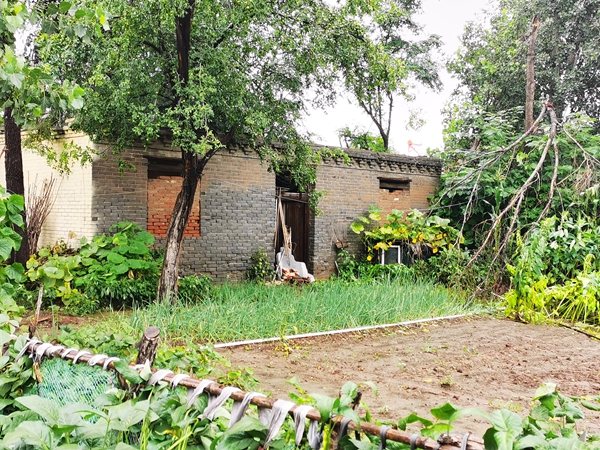 运钞车|运钞车劫杀案嫌犯赵智勇的人生拼图