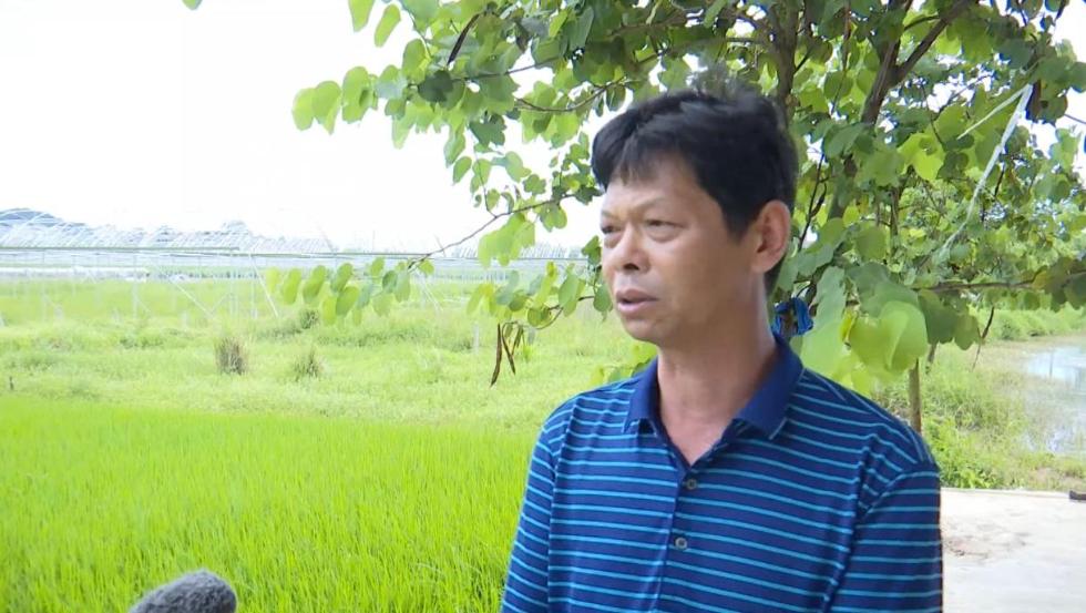 茶家村|广西富川：产业强村庄美 乡村振兴底气足