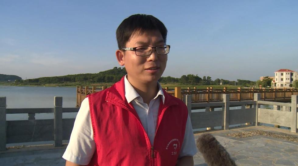 茶家村|广西富川：产业强村庄美 乡村振兴底气足