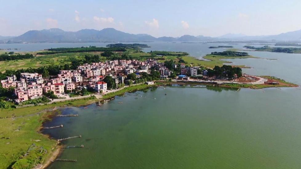 茶家村|广西富川：产业强村庄美 乡村振兴底气足