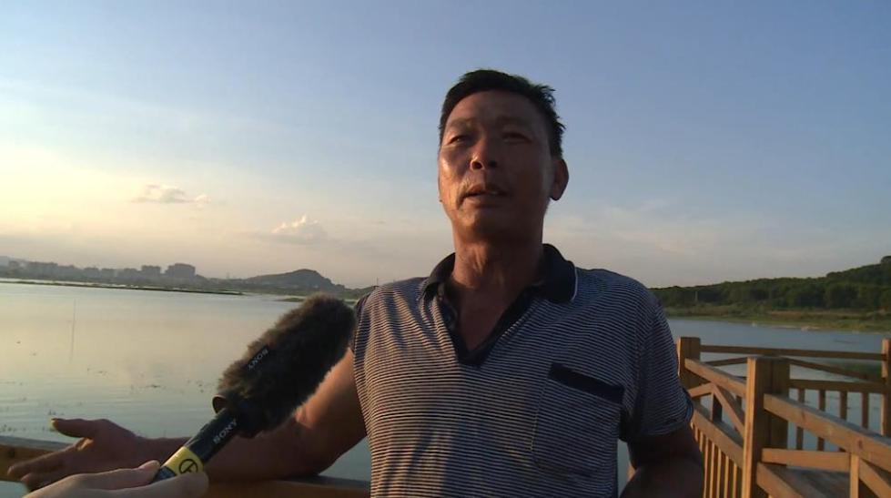 茶家村|广西富川：产业强村庄美 乡村振兴底气足