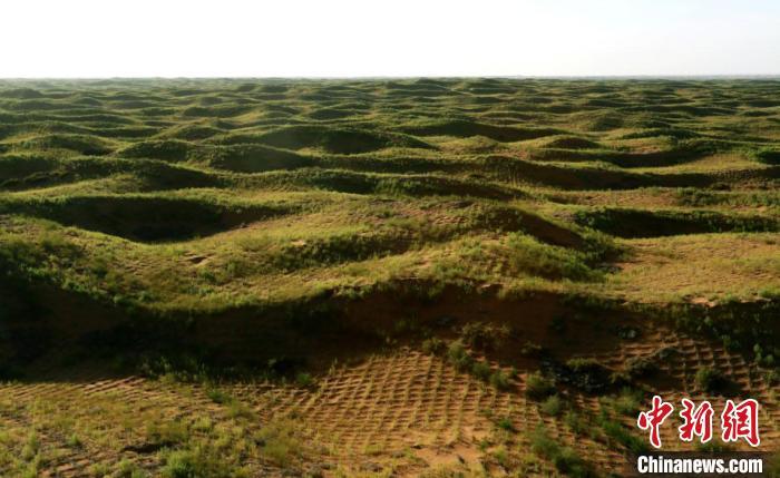 工程区|三北工程区每年沙尘暴天数降至2.4天