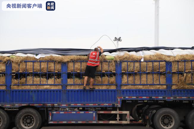 市场|市场免费用，商户搞特价，那个熟悉的新发地诚意满满地回来了！