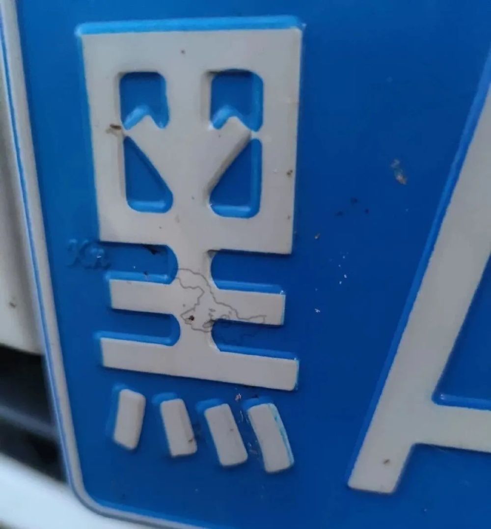 南京长江大桥|意外发现！车牌上有个小秘密，全国网友都激动了